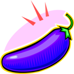 Eggplant 11
