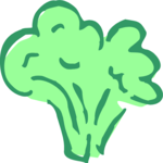 Broccoli 06