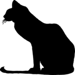 Cat 06