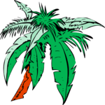 Palm Tree 12