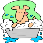 Dog Bathing 7