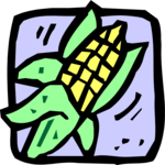 Corn 14
