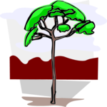 Tree 129