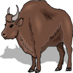 Buffalo 14