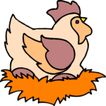 Chicken 24