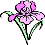 Flower 119