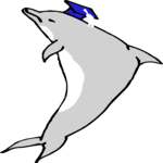 Graduate - Dolphin