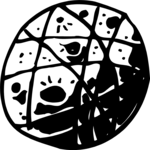 Mars 7