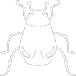 Beetle 02