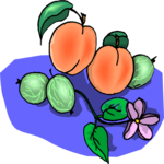 Peaches 07