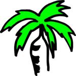Palm Tree 47