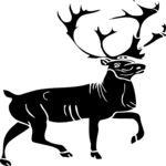 Stag 5