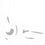 Elbow 1
