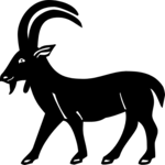 Ibex