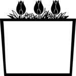 Tulips Box Frame