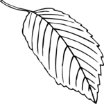 Leaf 037