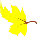 Leaf 076
