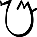 Magi R