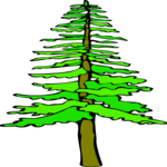 Tree 186