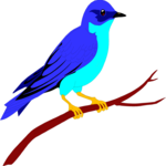 Bluebird 2