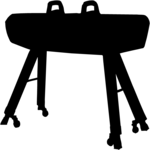 Gymnastics 13
