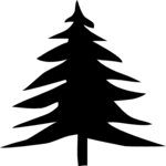 Tree 044