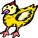 Chick 08