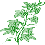 Plant 069
