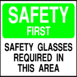 Safety Glasses