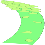 Asparagus 02