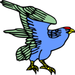 Hawk