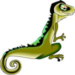 Lizard 07