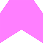 Polygon 11