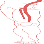Vasculature - Leg 1