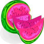 Watermelon 14