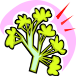 Broccoli 09