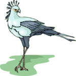Secretary Bird 2