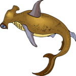 Shark - Hammerhead 8
