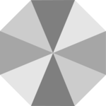 Octagon 4
