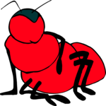 Ant 02