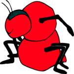 Ant 03