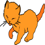 Cat 12