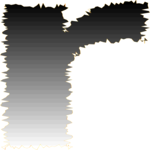 Charcoal Condensed R 2