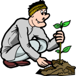 Planting