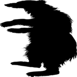 Bear 6