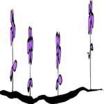 Ground Flowers