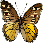 Butterfly 115