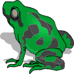 Frog 24