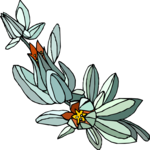 Flower 316