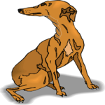 Dog 112